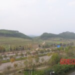 Murdered Chinese teen found in woods