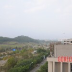 Murdered Chinese teen found in woods