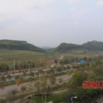 Murdered Chinese teen found in woods