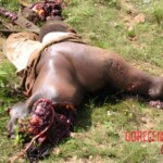 Police convoy blown up