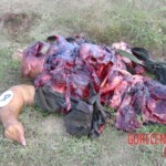 Police convoy blown up