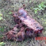 Police convoy blown up
