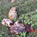 Police convoy blown up