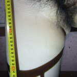 Raped and slashed Chinese woman