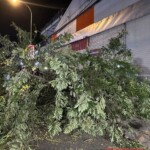 Reckless driver hits two guys on scooter