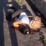 Teenager murdered on her way home from school