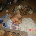 Brutally murdered woman