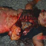 Woman dragged by vehicle for more than 1 mile