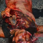 Woman dragged by vehicle for more than 1 mile