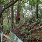 Woman found hanged in woods