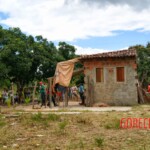 Robianne Kelle Silva Souza