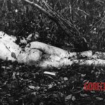 Andrei Chikatilo's victims