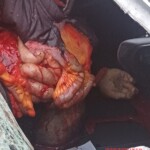 Biker torn into several pieces in head-on collision with car