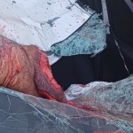 Biker torn into several pieces in head-on collision with car