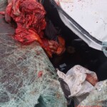 Biker torn into several pieces in head-on collision with car