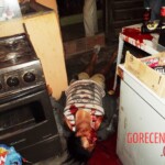 Lucidalva Soares da Silva