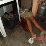 Lucidalva Soares da Silva