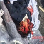 Car loses control and hits truck, one dead