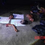 Cartel dumped dismembered bodies of their rivals on highway