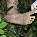 Chinese woman attacked by maniac on her way home from work