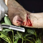 Chinese woman attacked by maniac on her way home from work