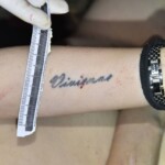 Chinese woman attacked by maniac on her way home from work