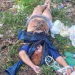 Corpse of young waitress found half-naked dumped by roadside