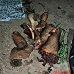 Dismembered gangster dumped in front of bar