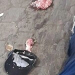 Alejandro Salinas Manzanares