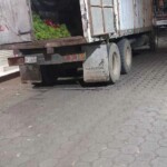 Alejandro Salinas Manzanares