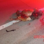 José Severino Leite