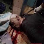 Father and son mauled by aggressive bear