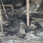 Five dead after gang confrontation