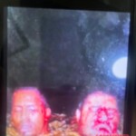 Five dead after gang confrontation