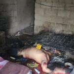 Five dead after gang confrontation