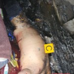 Five dead after gang confrontation