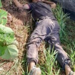 Five people massacred on rural road