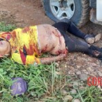 Five people massacred on rural road