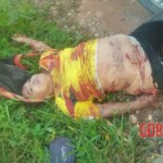 Five people massacred on rural road