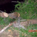 Four thugs raped and beat to death 14-year-old girl