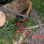 Four thugs raped and beat to death 14-year-old girl