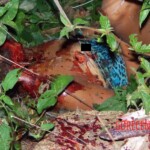 Four thugs raped and beat to death 14-year-old girl