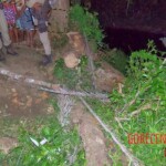 Four thugs raped and beat to death 14-year-old girl