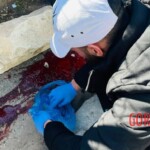 IDF eliminated Hamas commander