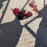 IDF eliminated Hamas commander