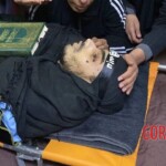 Ibrahim Mustafa Qanari