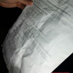 Sonia Rodrigues Maio