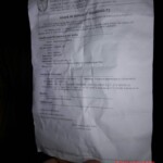 Sonia Rodrigues Maio