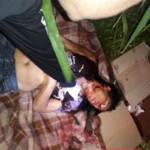 Sonia Rodrigues Maio