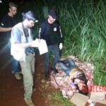 Sonia Rodrigues Maio